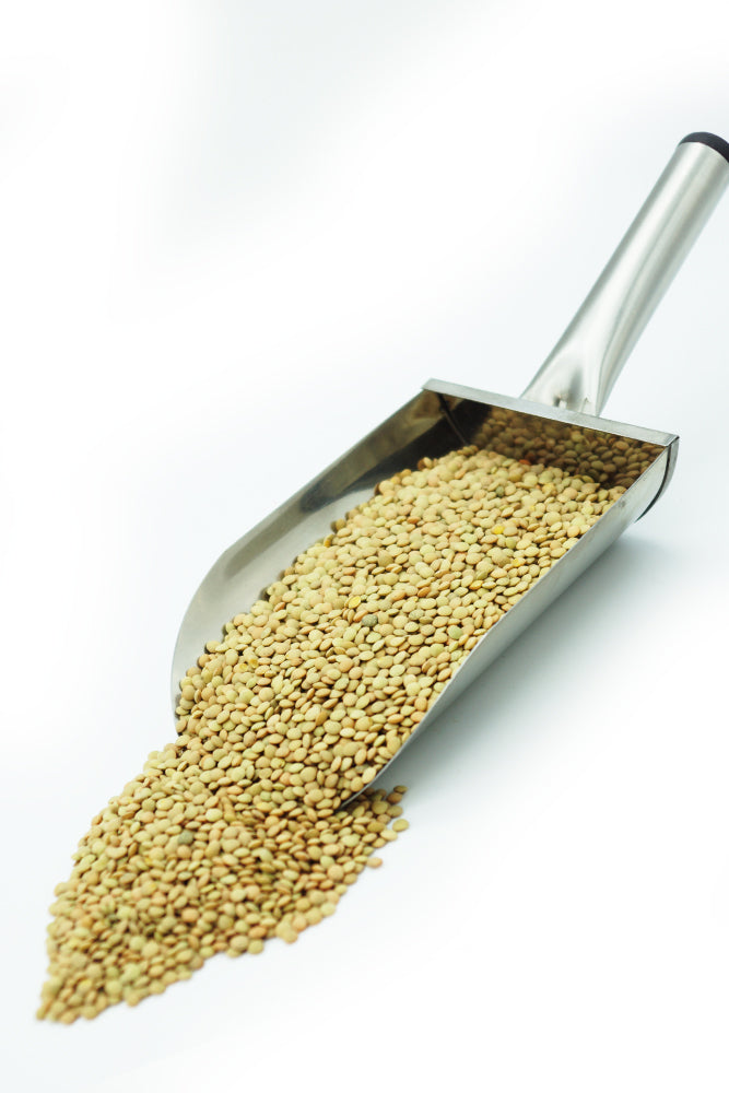 LENTEJA VERDINA CATEGORÍA EXTRA - MARTÍNEZ