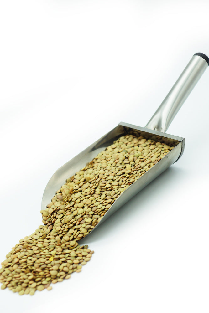 LENTEJA CASTELLANA CATEGORÍA EXTRA - MARTÍNEZ