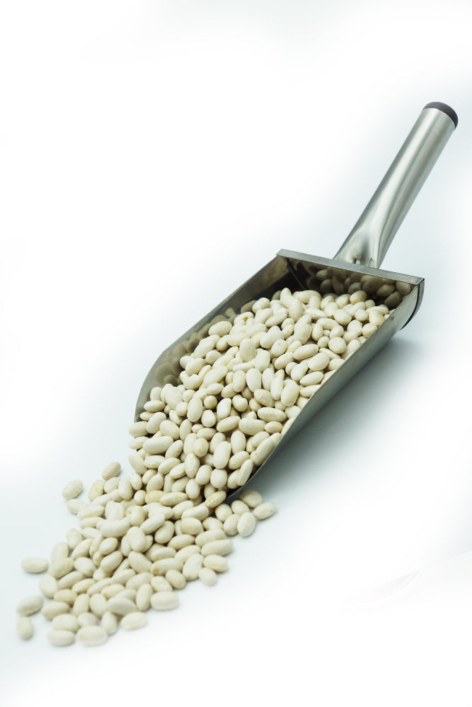 ALUBIA VEGA "MARTINEZ"